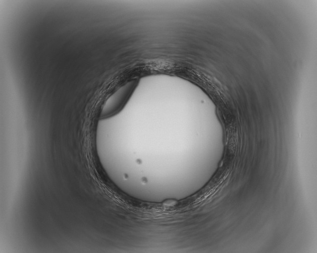 X0000115611345200911100923