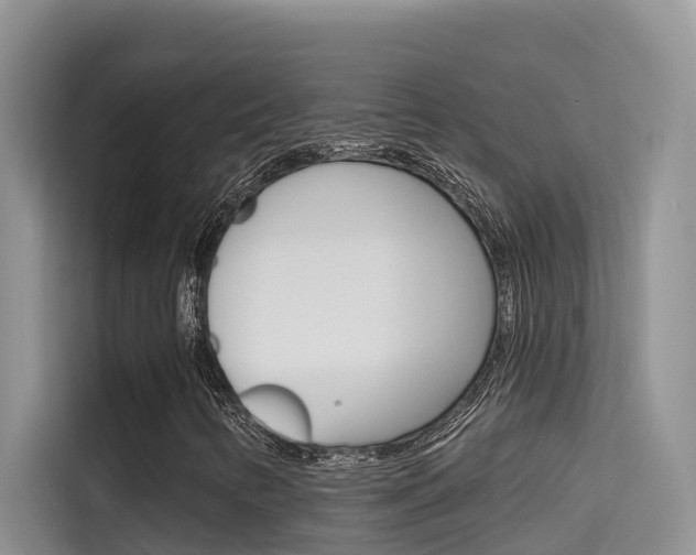 X0000115611346200911100923