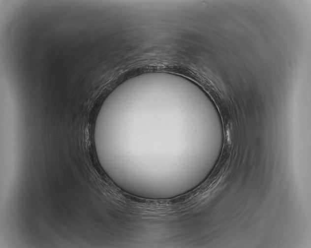 X0000115611347200911100923