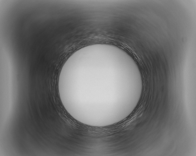X0000115611348200911100923