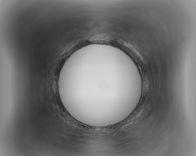 X0000115611350200911100923