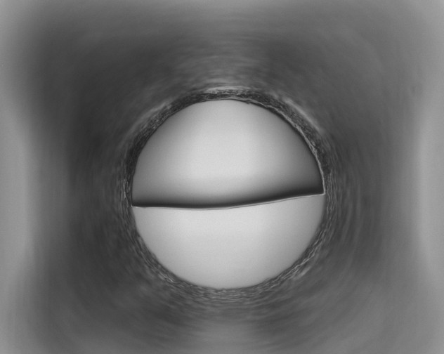 X0000115611351200911100923
