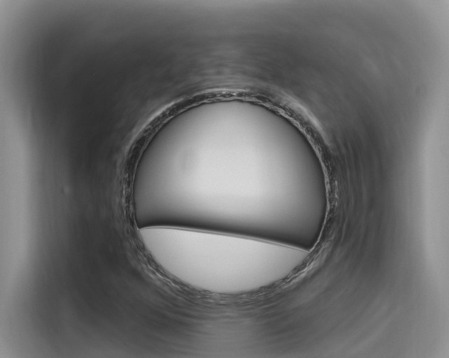 X0000115611352200911100923