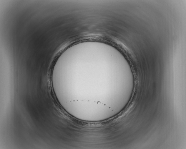 X0000115611354200911100923