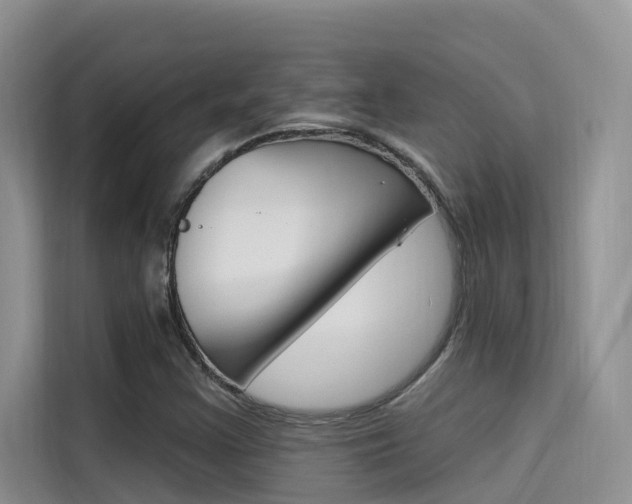 X0000115611355200911100923