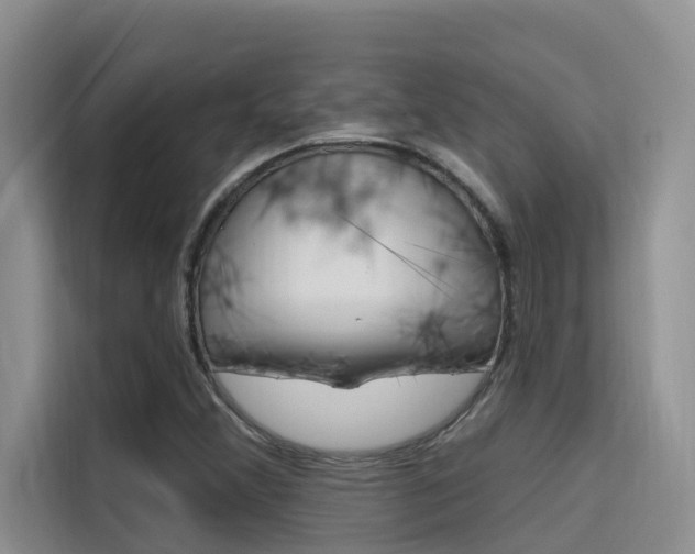 X0000115611356200911100923