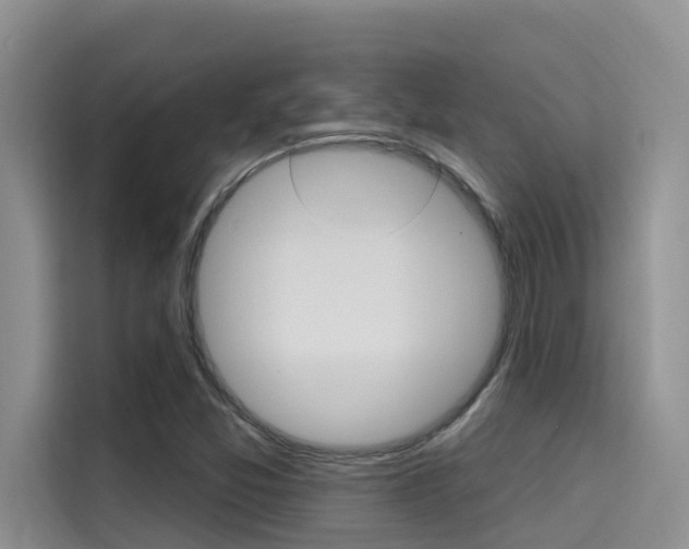X0000115611357200911100923