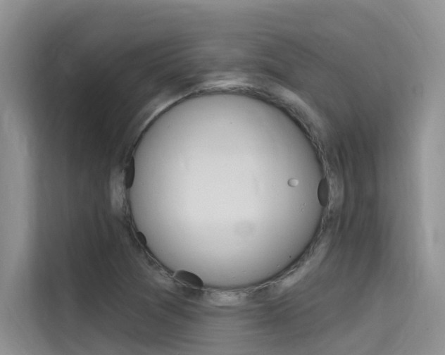 X0000115611361200911100923