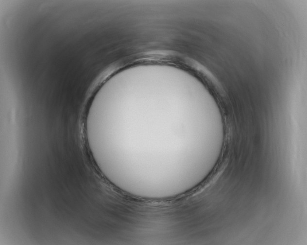 X0000115611362200911100923