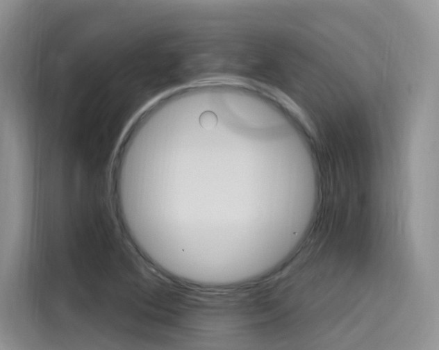 X0000115611364200911100923