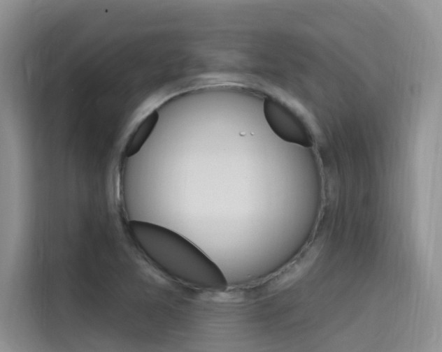 X0000115611365200911100923