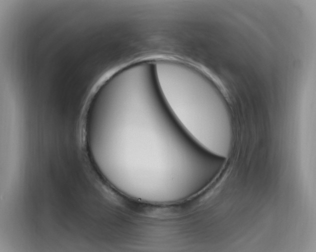 X0000115611367200911100923