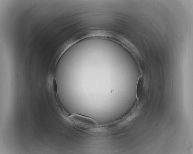 X0000115611369200911100923