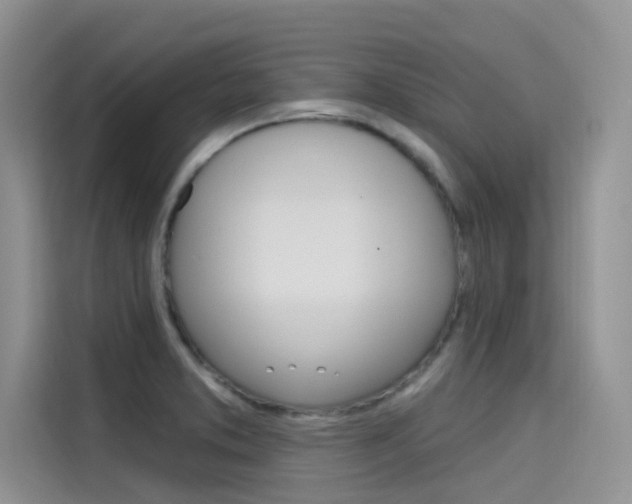 X0000115611373200911100923