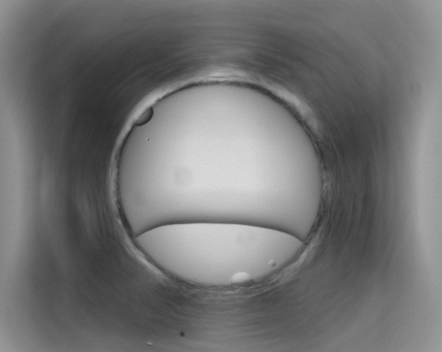 X0000115611374200911100923