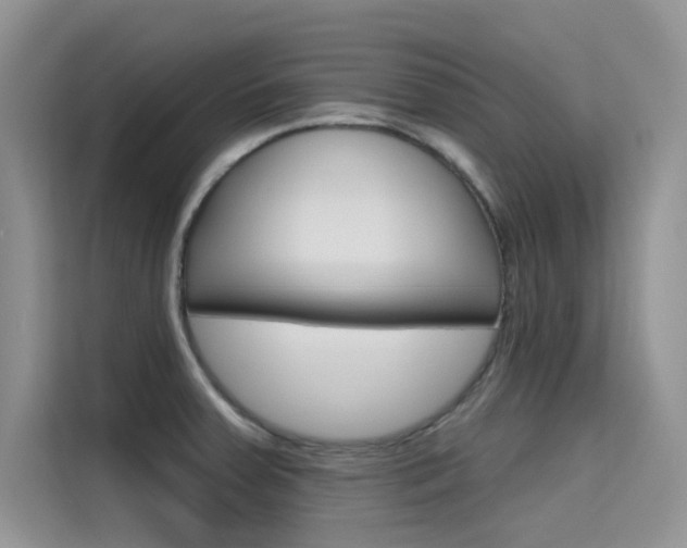 X0000115611379200911100923