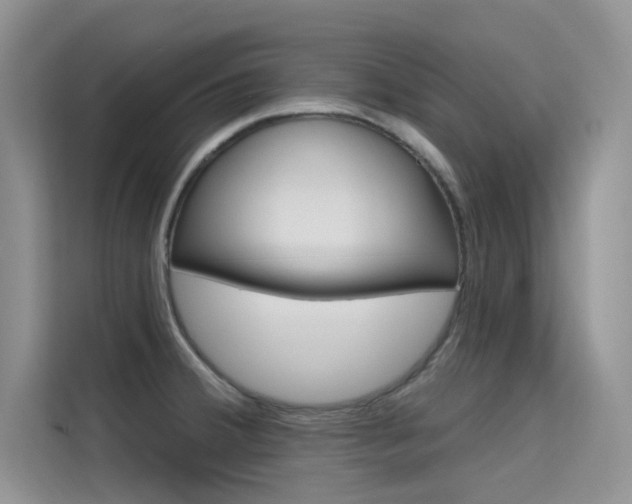 X0000115611380200911100923