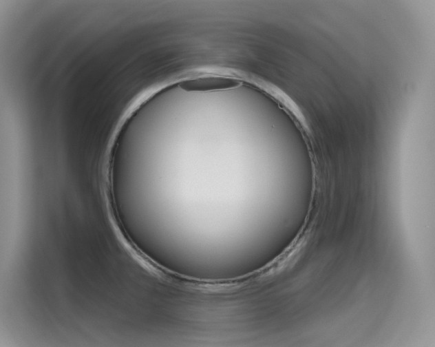 X0000115611381200911100923