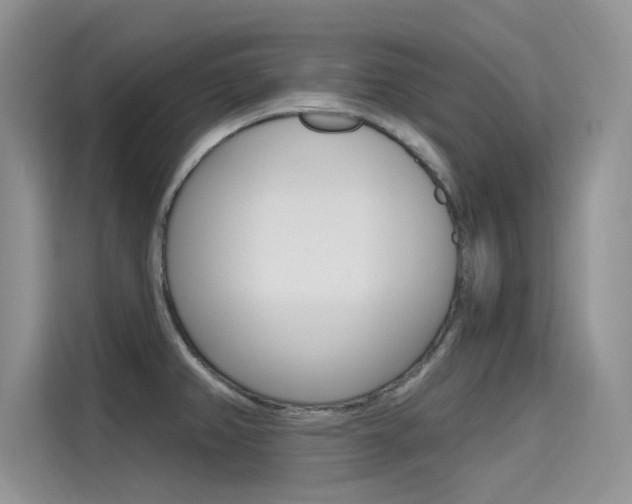 X0000115611382200911100923
