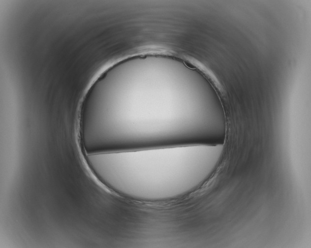 X0000115611383200911100923
