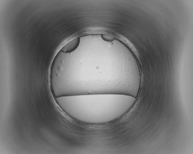 X0000115611386200911100923