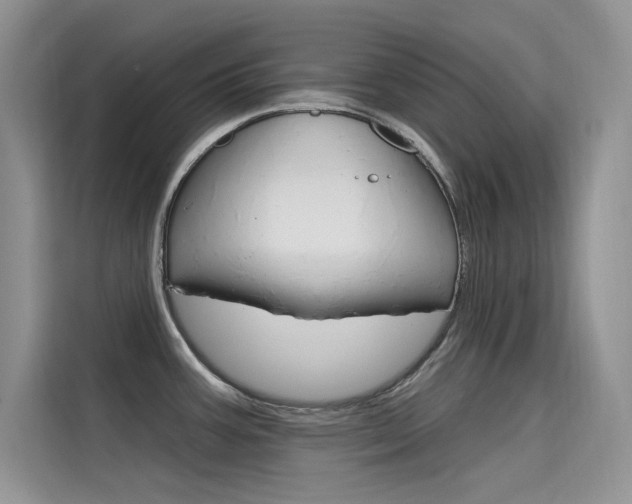 X0000115611387200911100923
