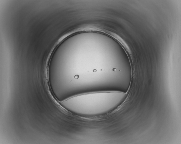 X0000115611388200911100923