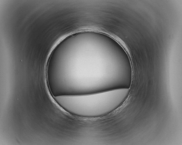 X0000115611389200911100923