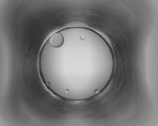 X0000115611390200911100923