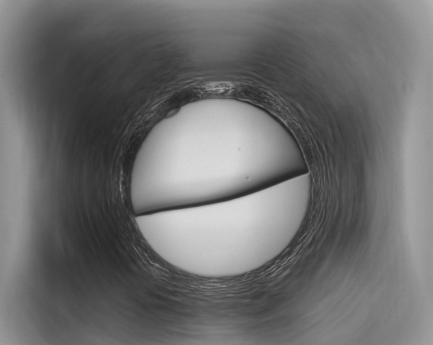 X0000115611394200911100922