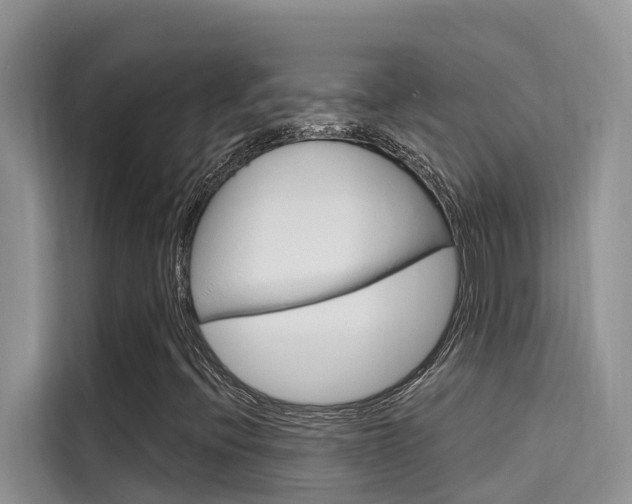 X0000115611396200911100922