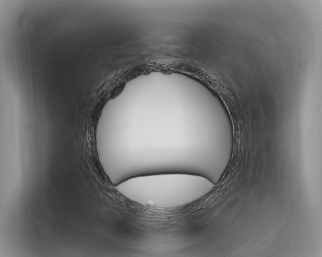 X0000115611397200911100922