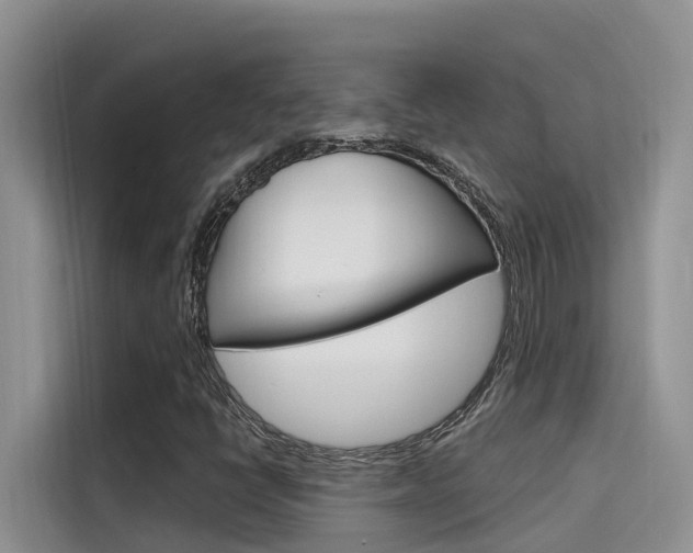 X0000115611398200911100922