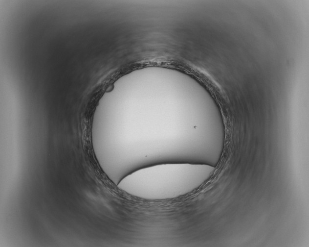 X0000115611399200911100922