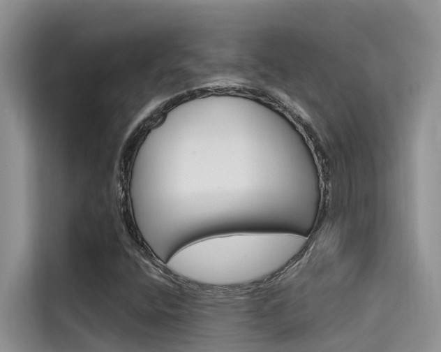 X0000115611400200911100922