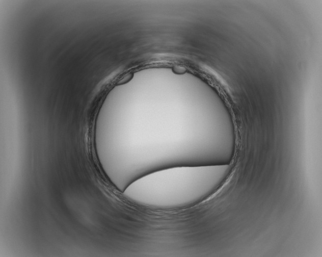 X0000115611403200911100922
