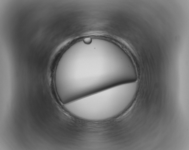 X0000115611406200911100922