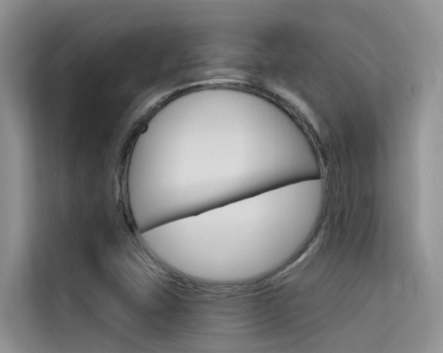 X0000115611407200911100922