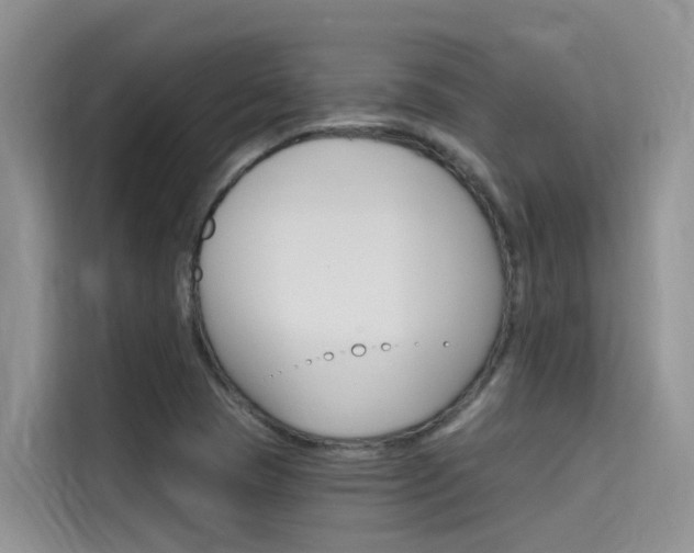 X0000115611409200911100922