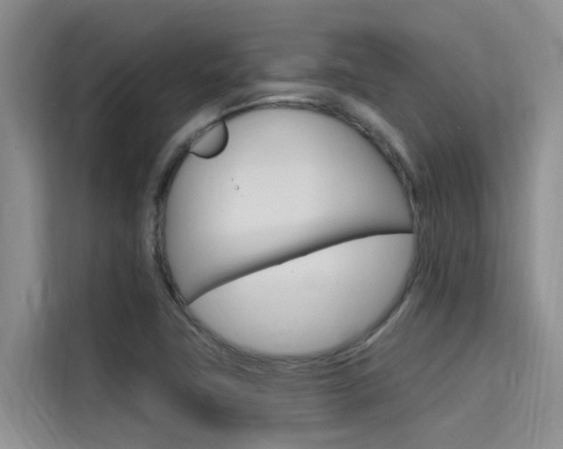 X0000115611411200911100922