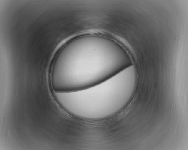 X0000115611412200911100922