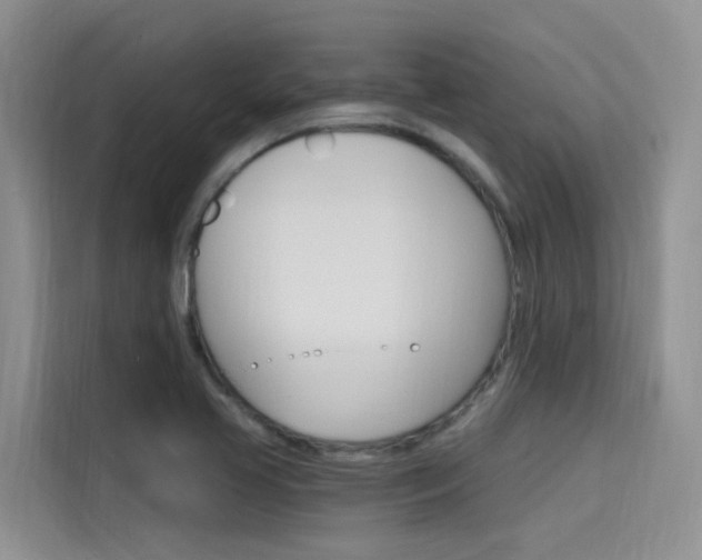 X0000115611413200911100922