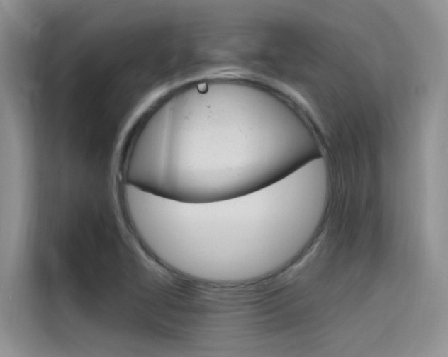 X0000115611414200911100922