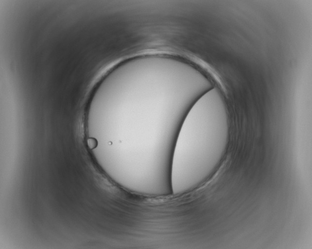 X0000115611415200911100922