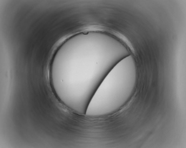 X0000115611419200911100922