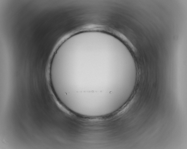X0000115611421200911100923