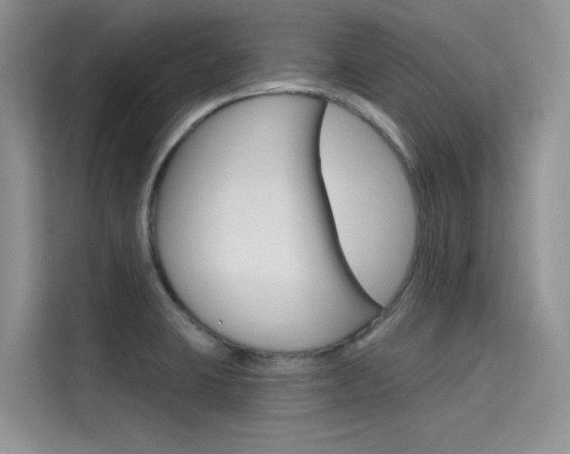 X0000115611423200911100923