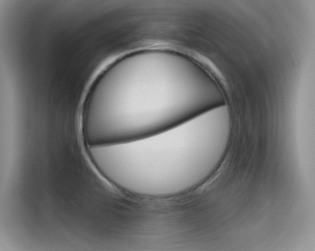 X0000115611424200911100923