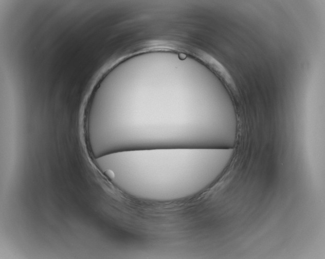 X0000115611427200911100923