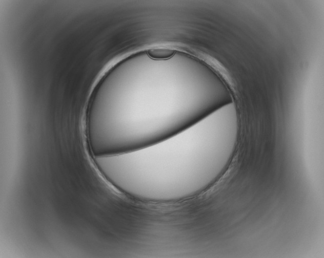 X0000115611428200911100923